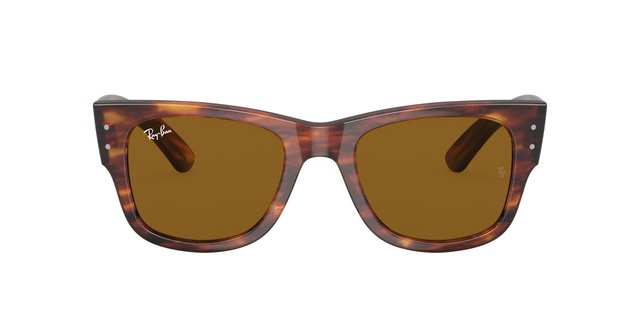 Ray-Ban Mega Wayfarer Sunglasses