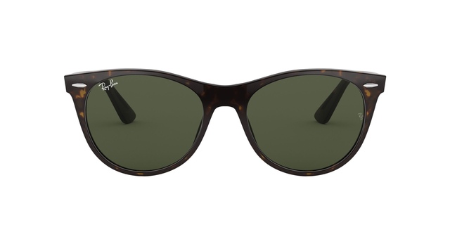 Ray Ban Wayfarer II Sunglasses