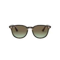 Ray Ban 0RB4259 Sunglasses Front_Flat