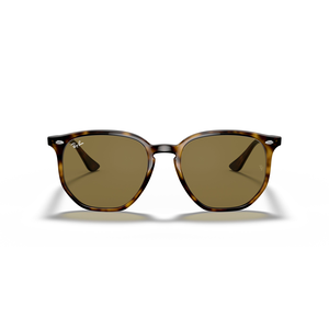 Ray Ban 0RB4306 Sunglasses