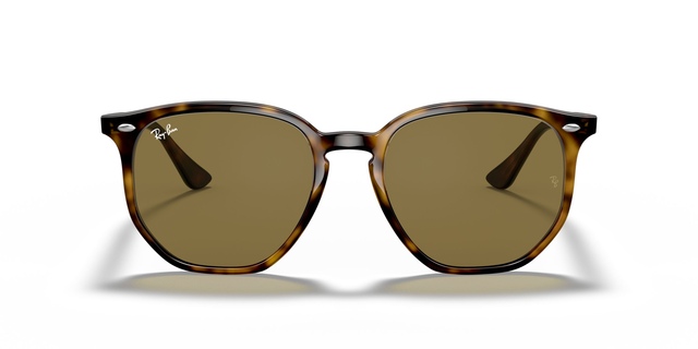 Ray Ban 0RB4306 Sunglasses