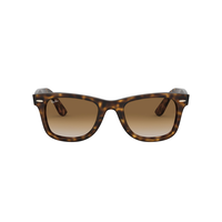 Ray Ban Wayfarer Sunglasses Front_Flat