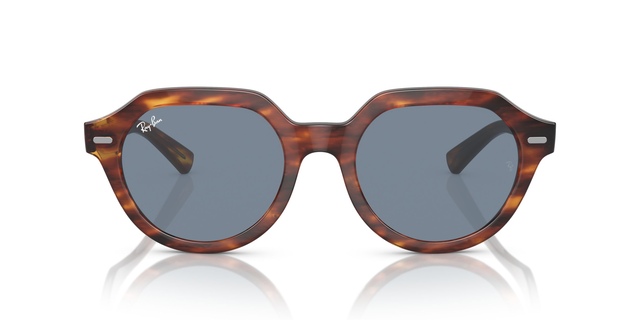 Ray Ban Gina Sunglasses