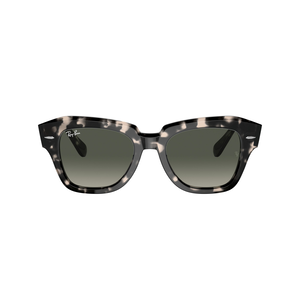 Ray Ban State Street Sunglasses