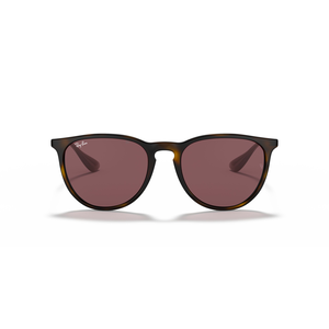 Ray Ban Erika Sunglasses