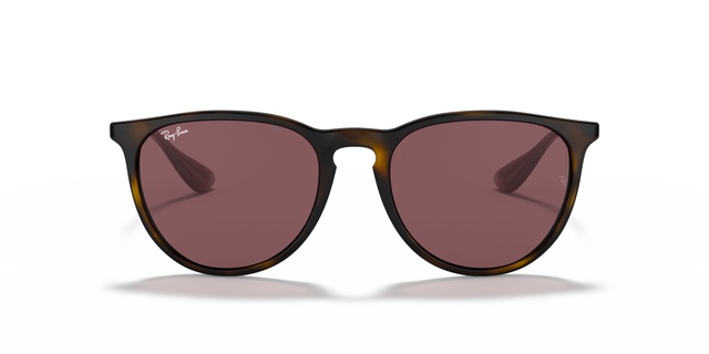 Ray Ban Erika Sunglasses