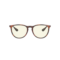 Ray Ban Erika Sunglasses Front_Flat