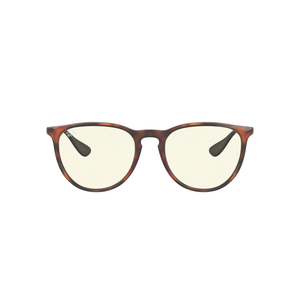 Ray Ban Erika Sunglasses
