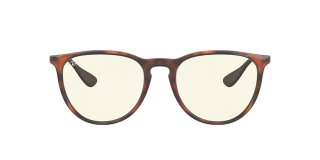 Ray Ban Erika Sunglasses
