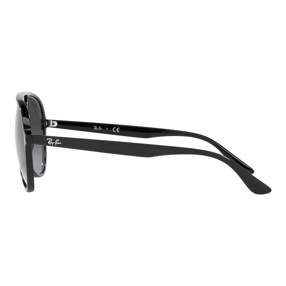 Ray Ban 0RB4376 Sunglasses