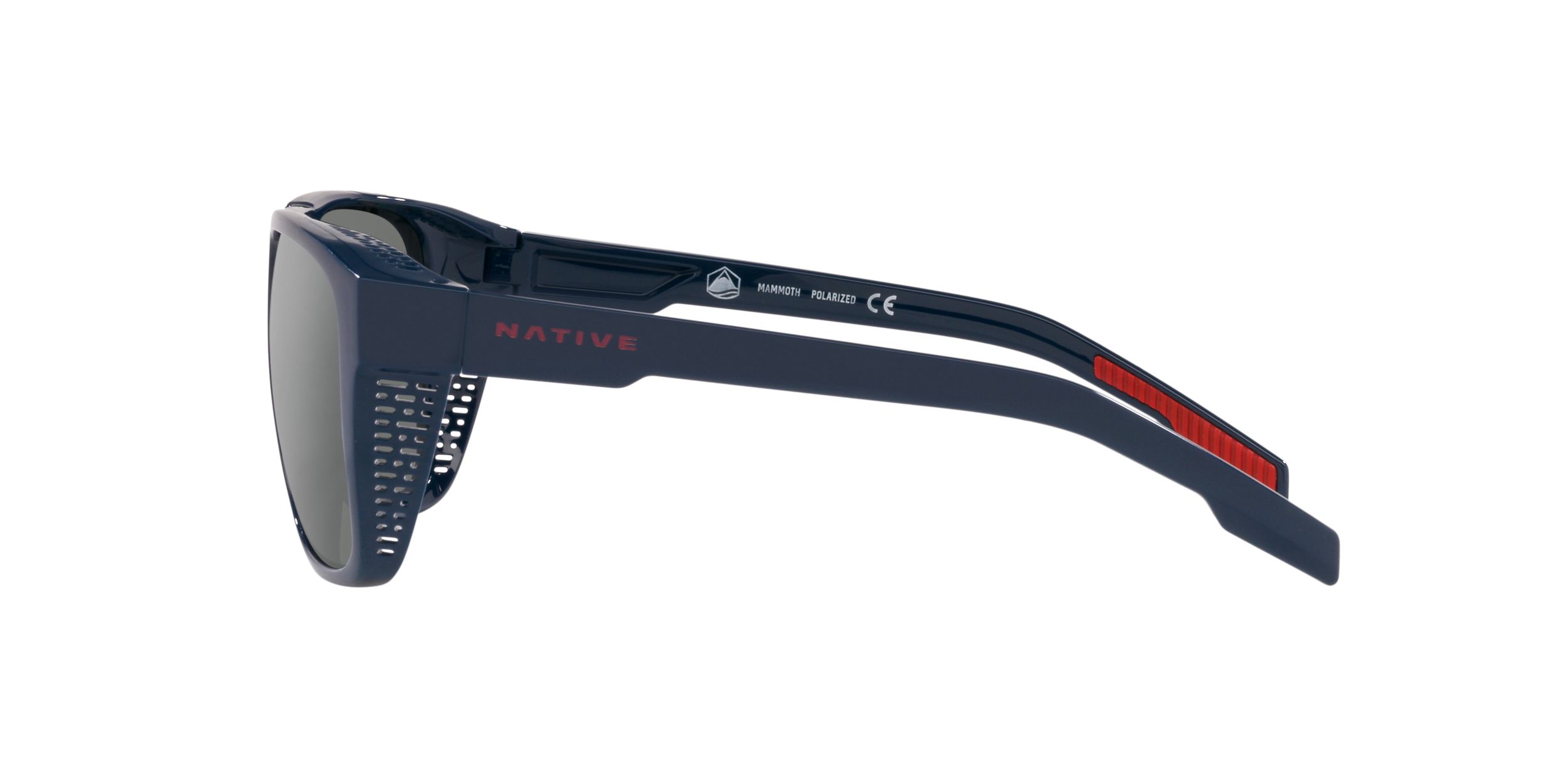 Native Mammoth Sunglasses