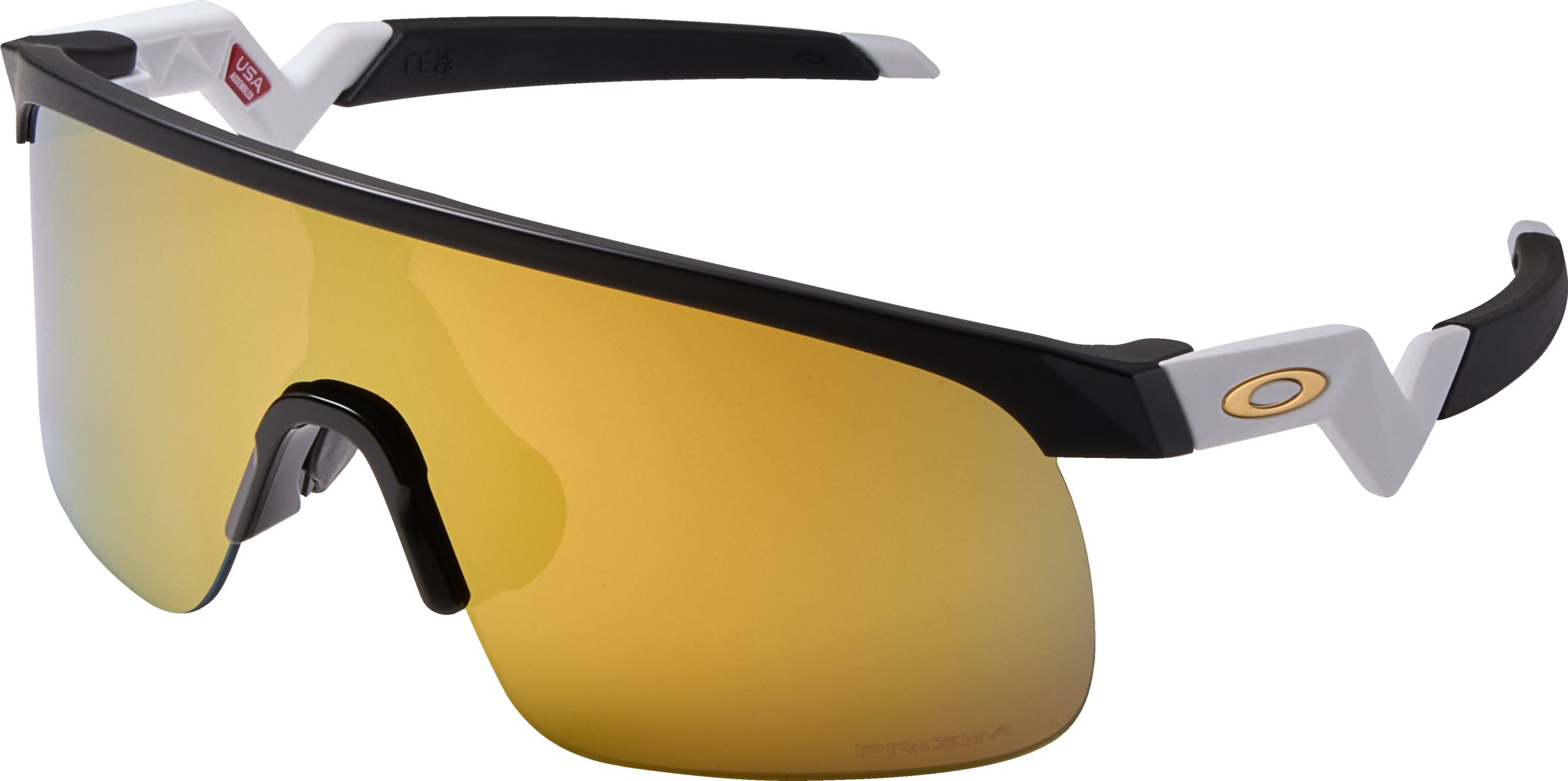 Oakley Unisex Resistor Sunglasses