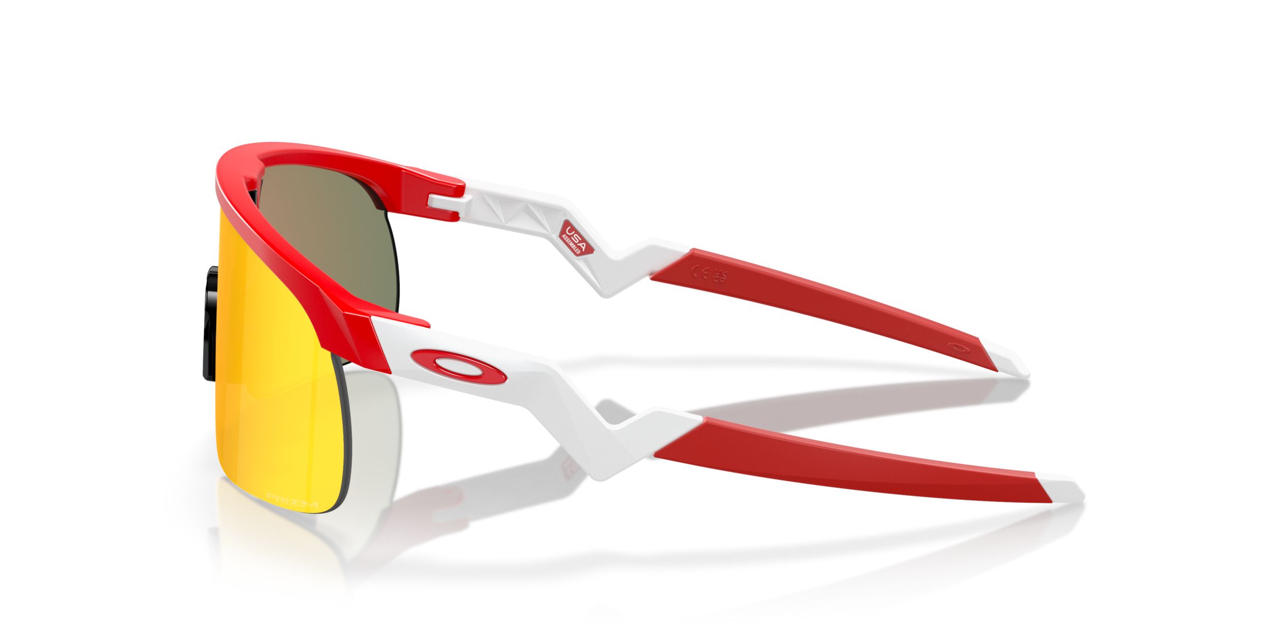 Youth Oakley Resistor Sunglasses
