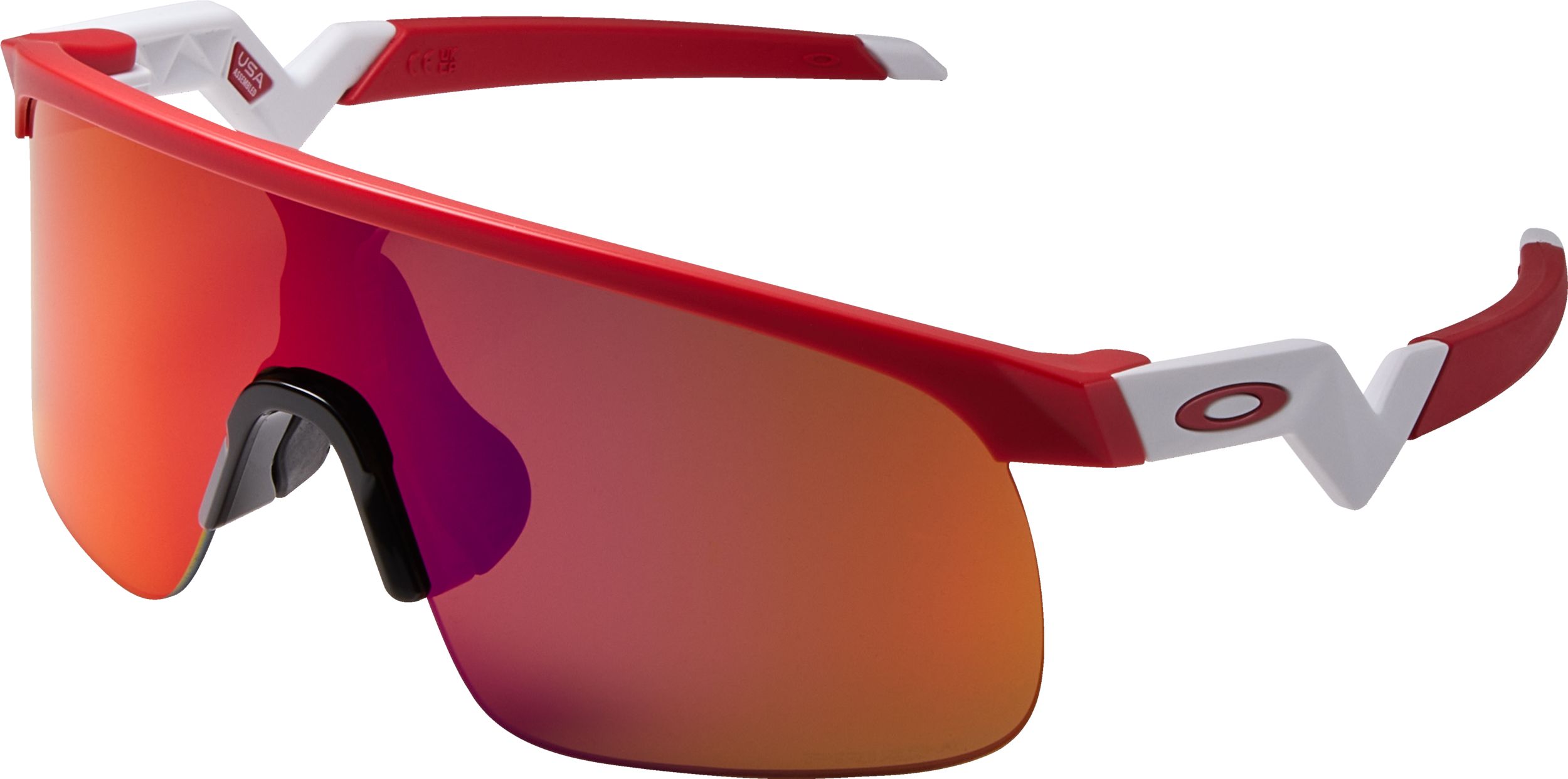 Youth Oakley Resistor Sunglasses
