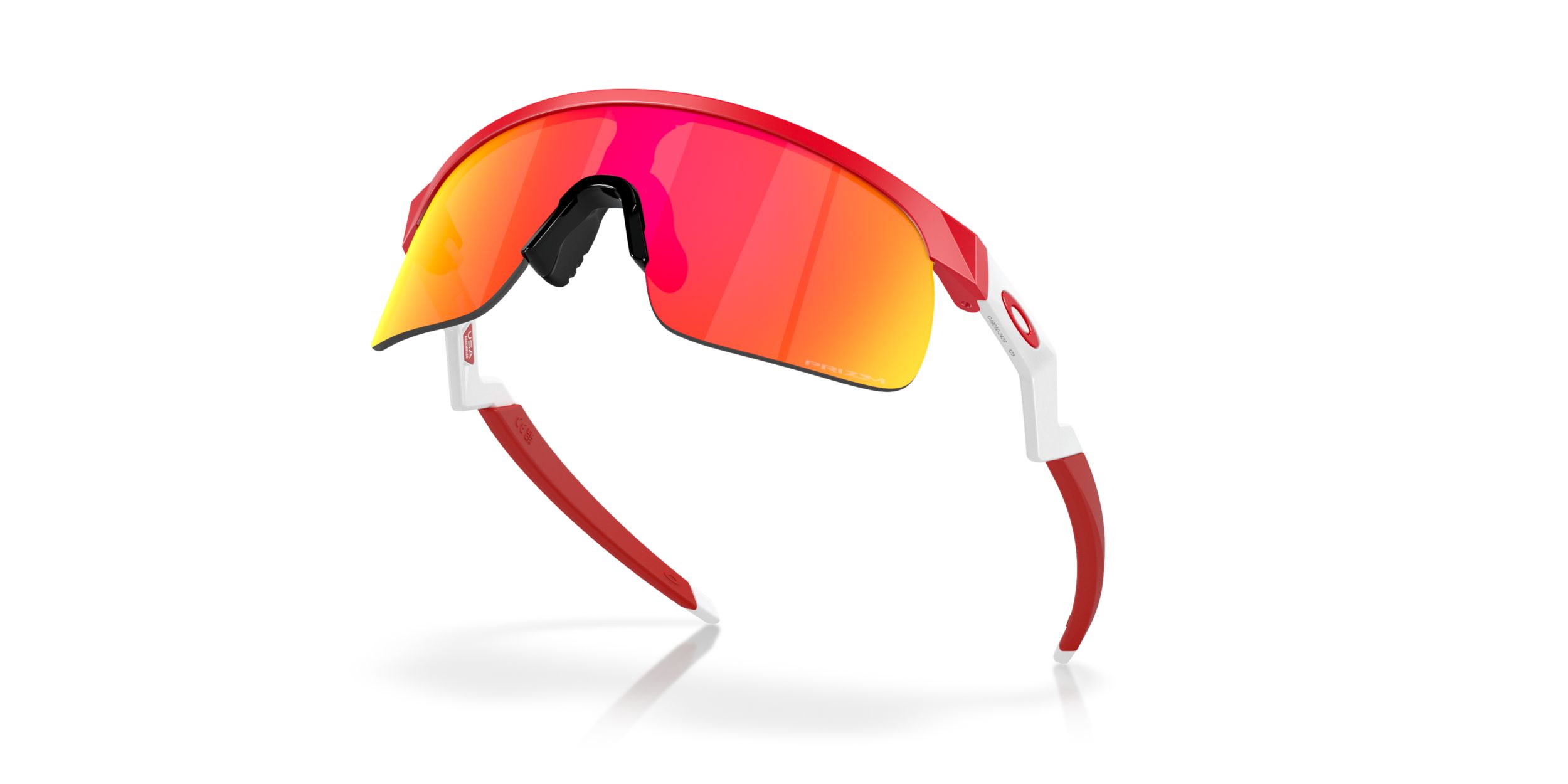 Youth Oakley Resistor Sunglasses