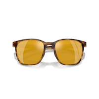 Native Tiaga Sunglasses