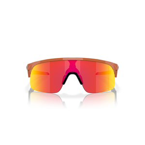 Oakley Men's Resistor Sunglasses
