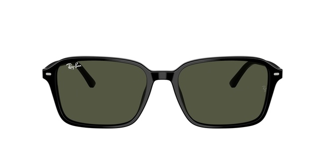 Ray-Ban Raimond Sunglasses