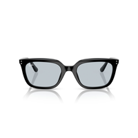 Ray-Ban 0RB4439D Sunglasses Front_Flat