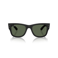 Ray-Ban 0RB4840S Sunglasses Front_Flat