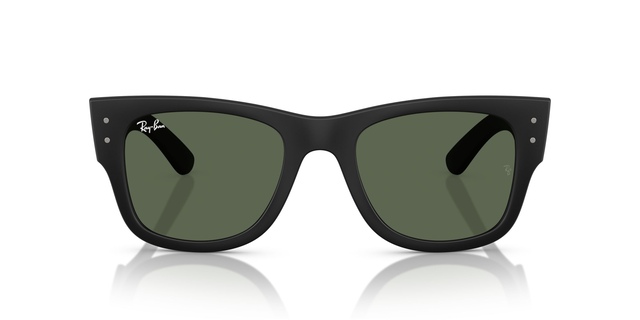 Ray-Ban 0RB4840S Sunglasses