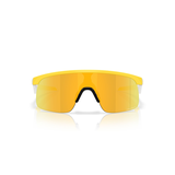 Oakley Unisex Resistor Sunglasses