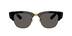 RAY BAN