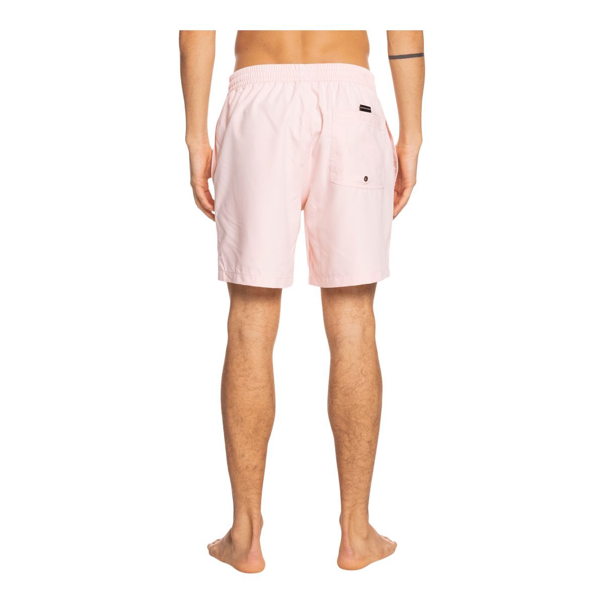 Quiksilver Men's Everyday 17 Inch Volley Shorts