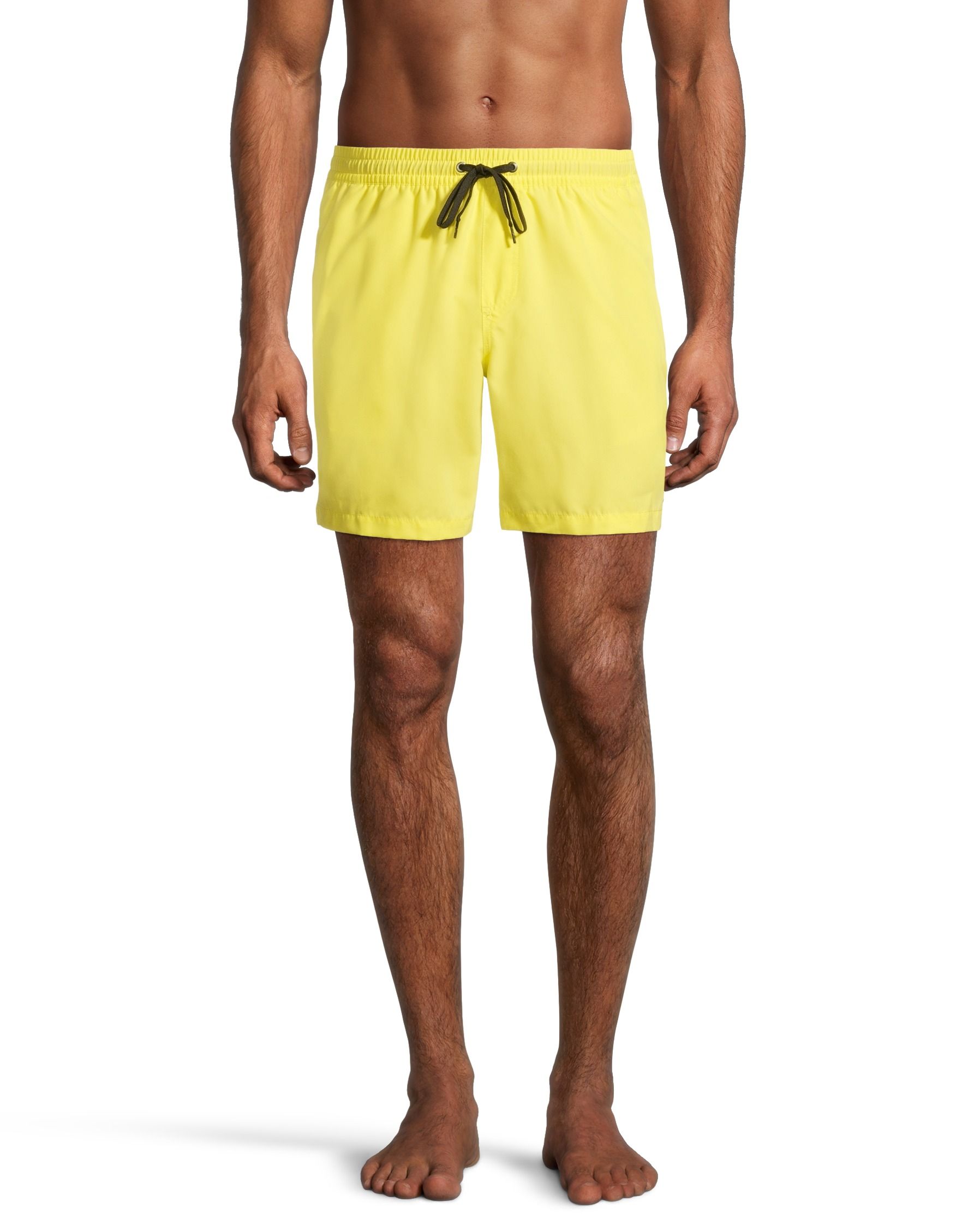Quiksilver Men's Everyday Swim Volley Shorts  17" With Mesh Brief