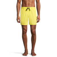 Quiksilver Men's Everyday Swim Volley Shorts, 17", With Mesh Brief Front_Flat