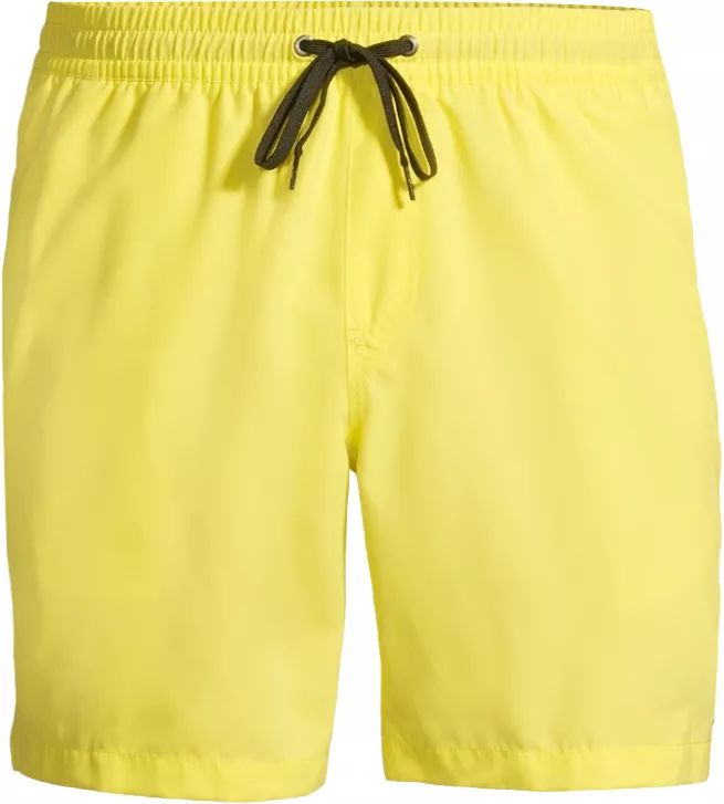 Quiksilver Men's Everyday Swim Volley Shorts, 17", With Mesh Brief