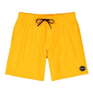 O'Neill Men's Solid Volley Shorts