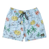 Quiksilver Men's x Peanuts Snoopy Shred Swim Volley Shorts, 17", 4-Way Stretch Front_Flat