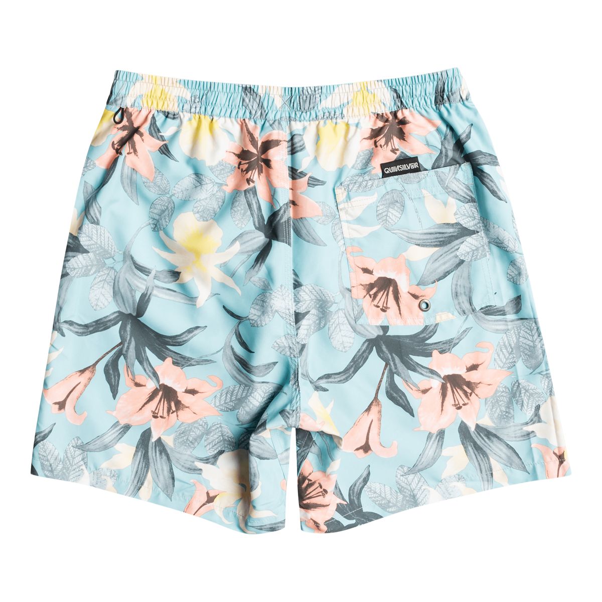 Quiksilver Men's Everyday Garden Path Swim Volley Shorts, 17", With Mesh Brief