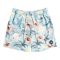 Quiksilver Men's Everyday Garden Path Swim Volley Shorts, 17", With Mesh Brief Front_Flat