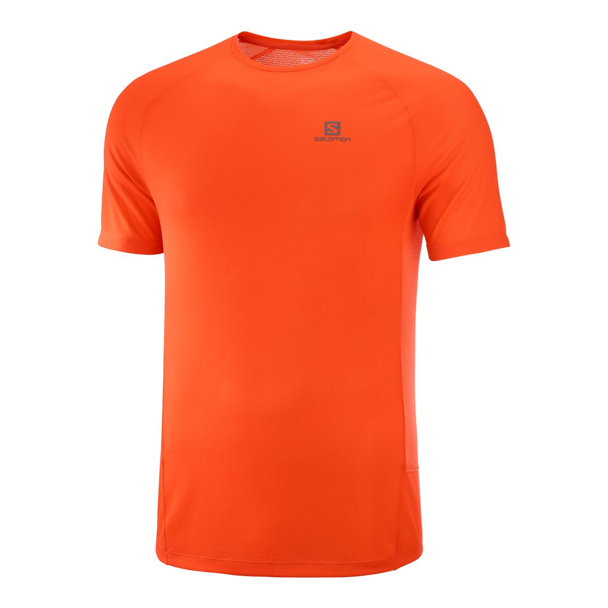 Salomon Men's Cross Rebel T Shirt
