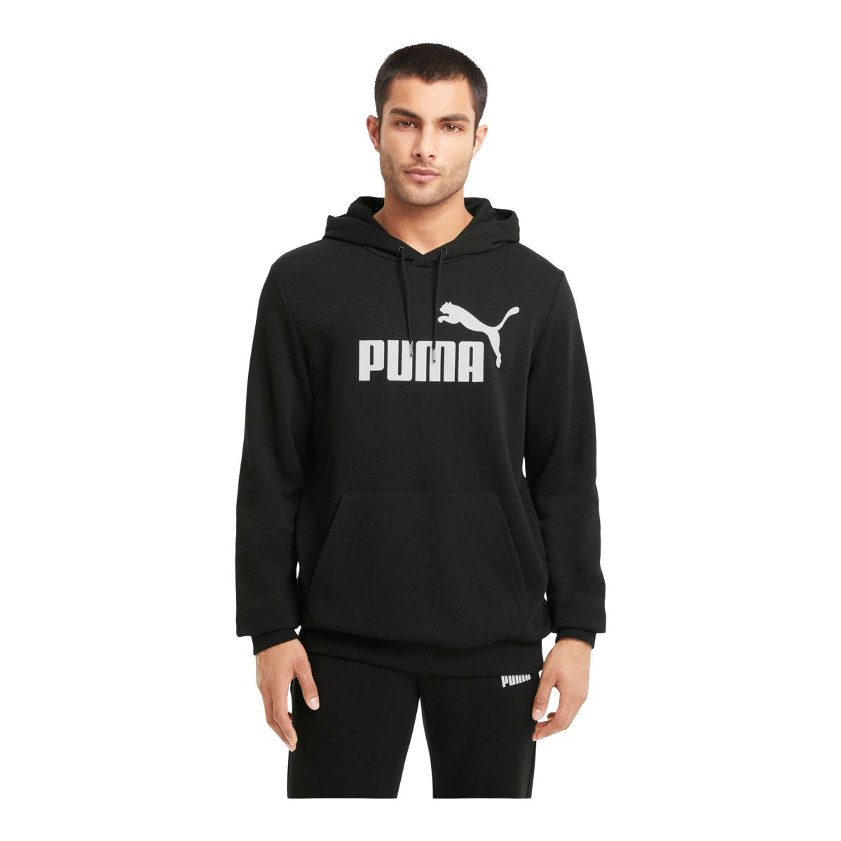 Puma Men's Essentials Big Logo Pullover Hoodie | SportChek