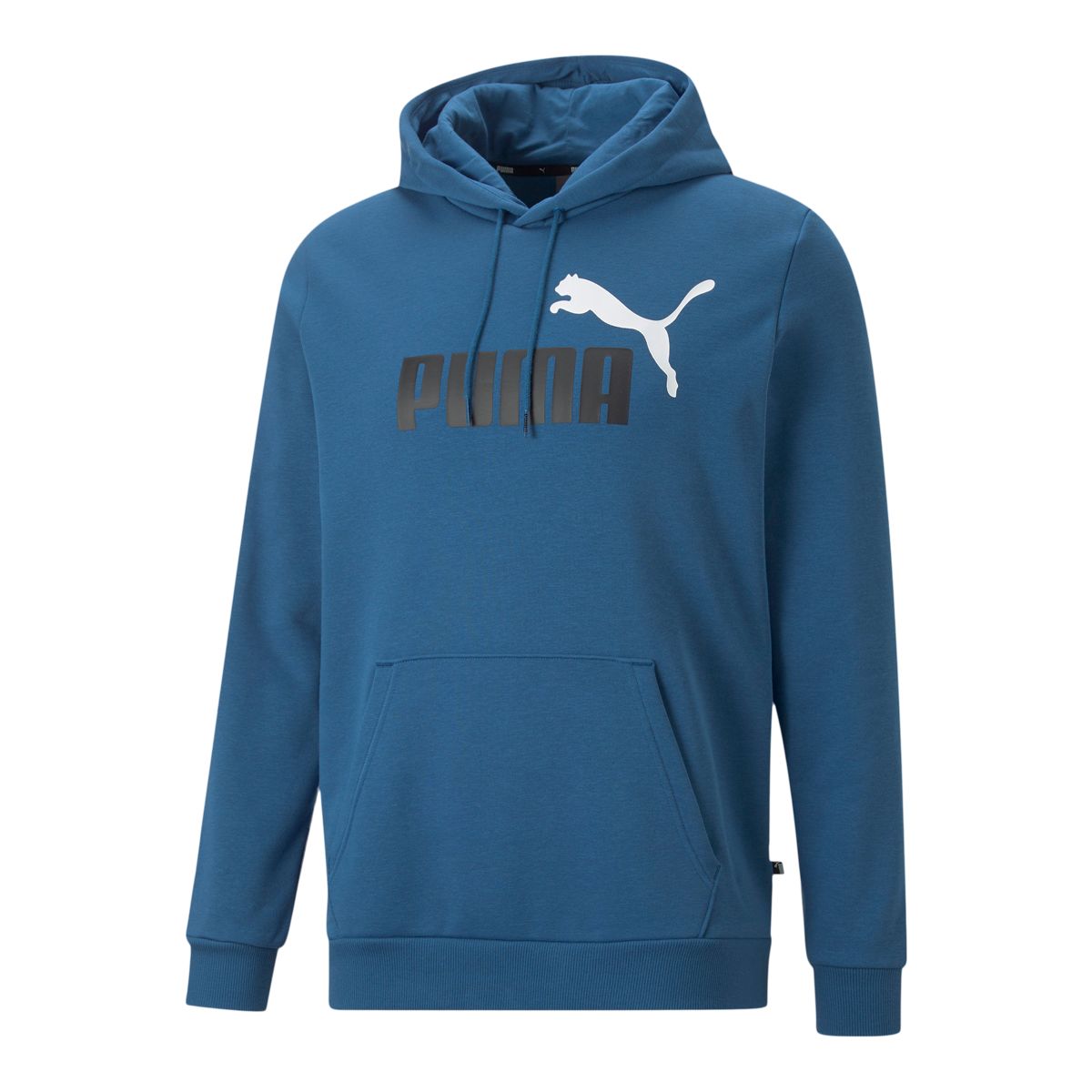 Puma Men's Essentials+ 2 Big Logo Pullover Hoodie | SportChek