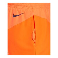 Nike Men's Logo Jackknife Swim Volley Shorts, 5", Lightweight, With Mesh Brief CloseUp