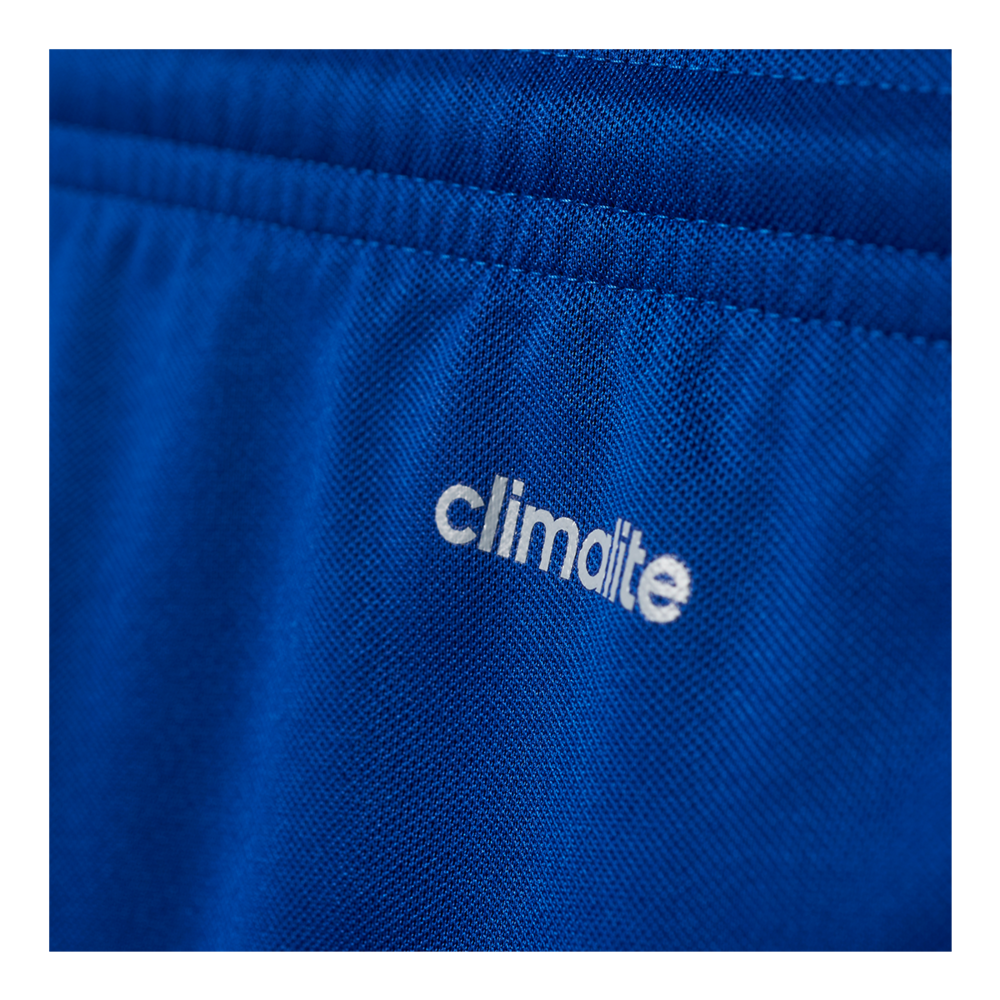 adidas Men's Parma 16 Shorts