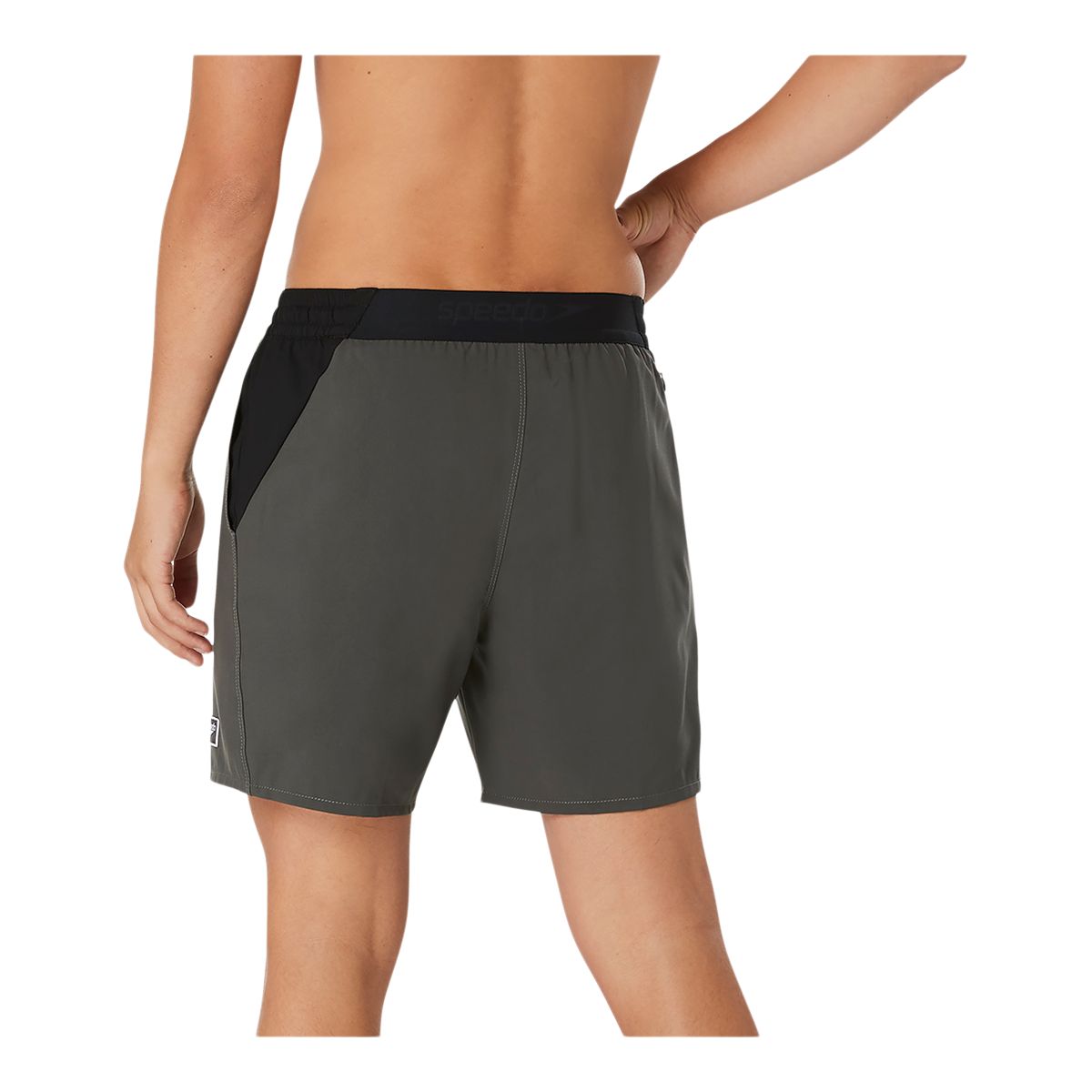 Speedo Men's Seaside 17 Inch Volley Shorts
