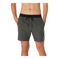 Speedo Men's Seaside 17 Inch Volley Shorts Front_Flat