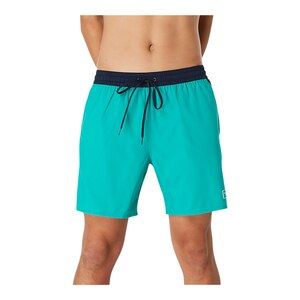 Speedo Men's Seaside 17 Inch Volley Shorts