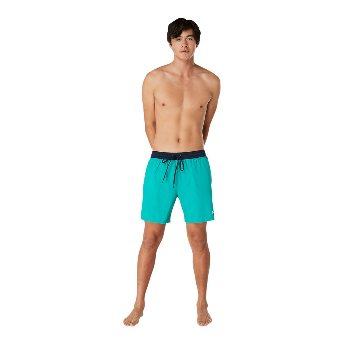 Speedo Men's Seaside 17 Inch Volley Shorts