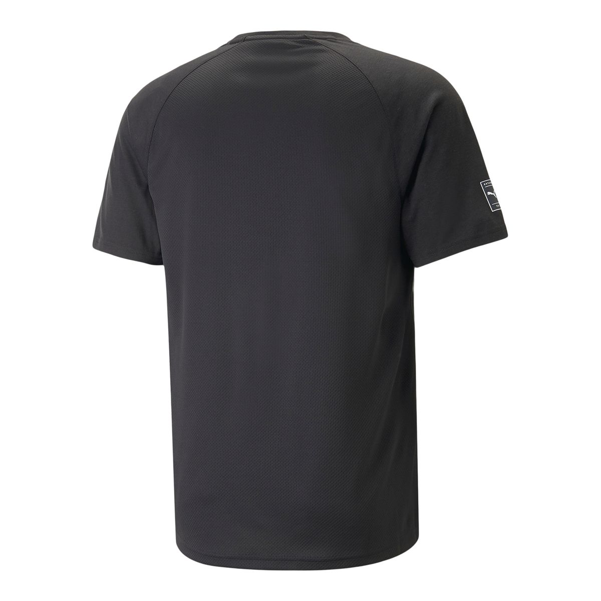 PUMA Men's Train Fit Tri Blend T Shirt