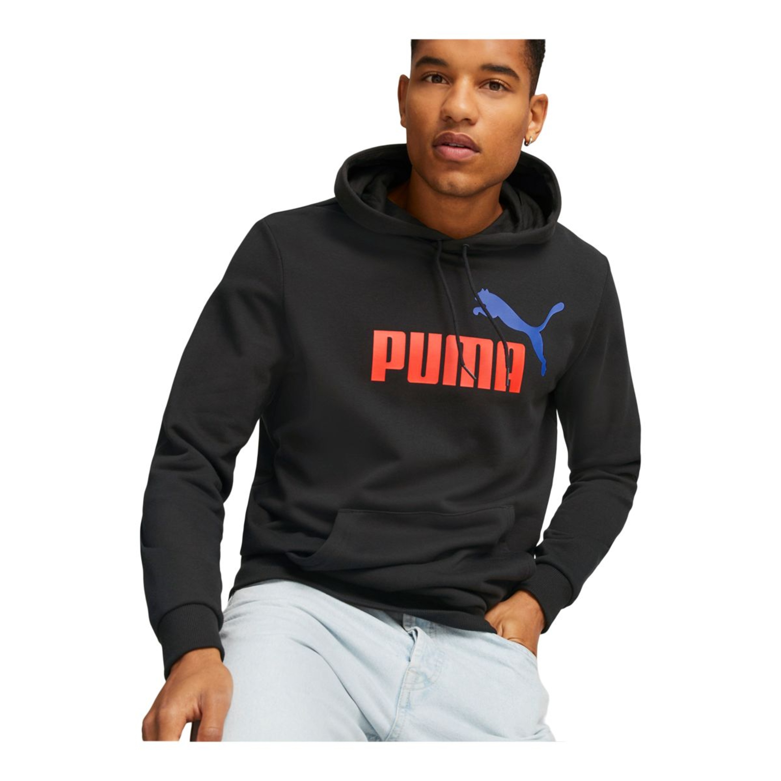 PUMA Men's Essentials+ Big Logo Pullover Hoodie | SportChek