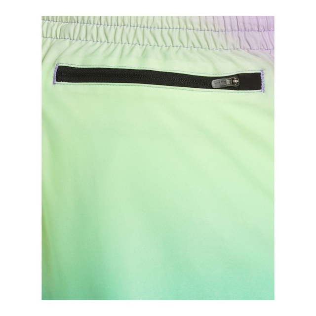 Nike Men's Aurora Borealis 5 Inch Volley Shorts SportChek