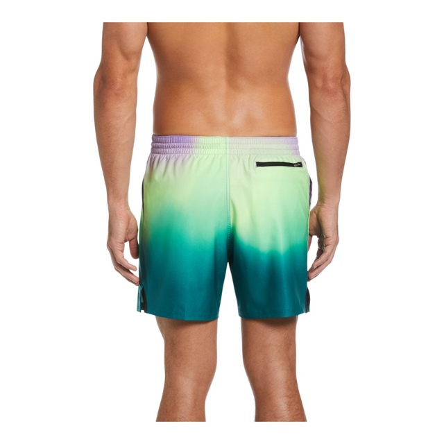 Nike Men's Aurora Borealis 5 Inch Volley Shorts SportChek