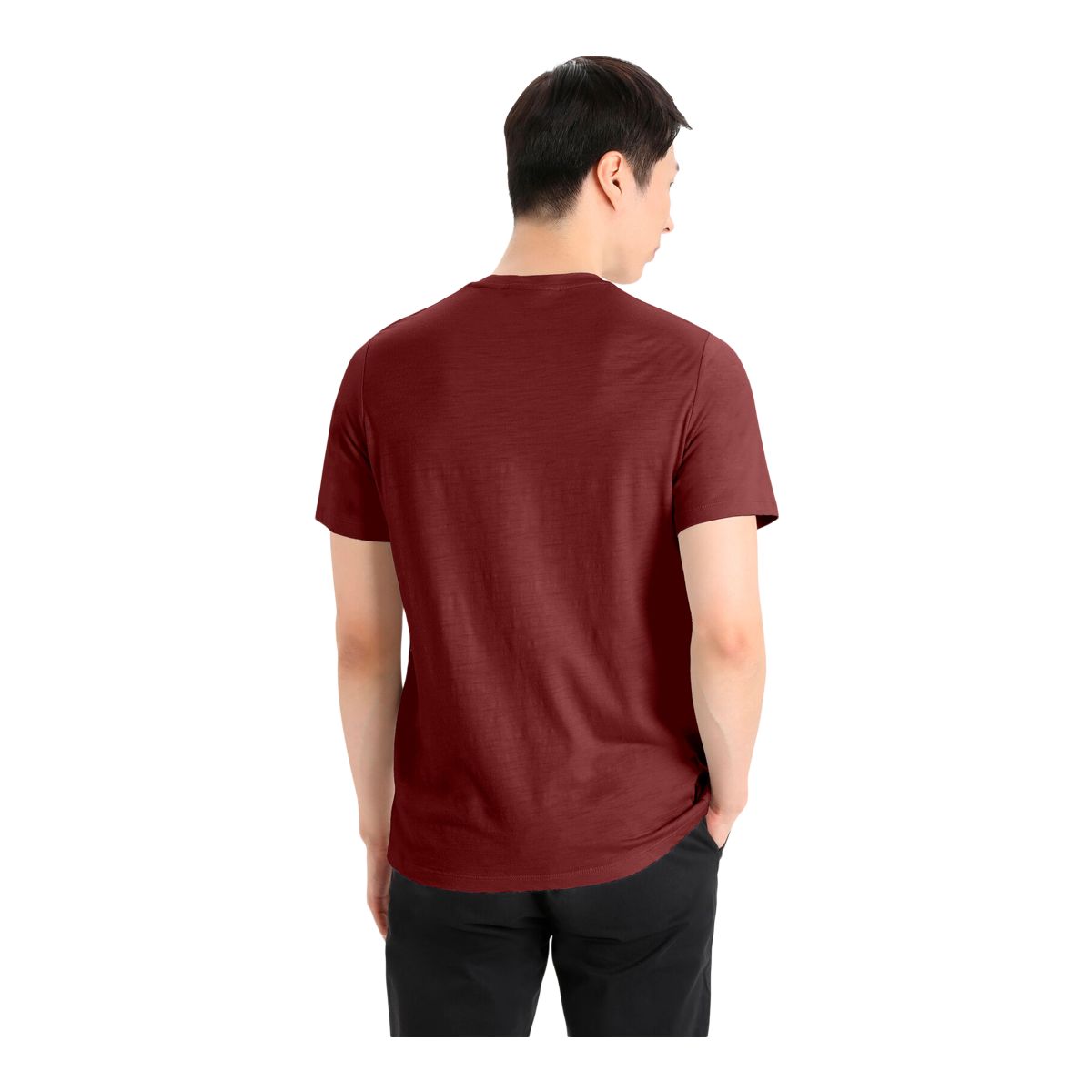 Icebreaker Men's Tech Lite II T Shirt