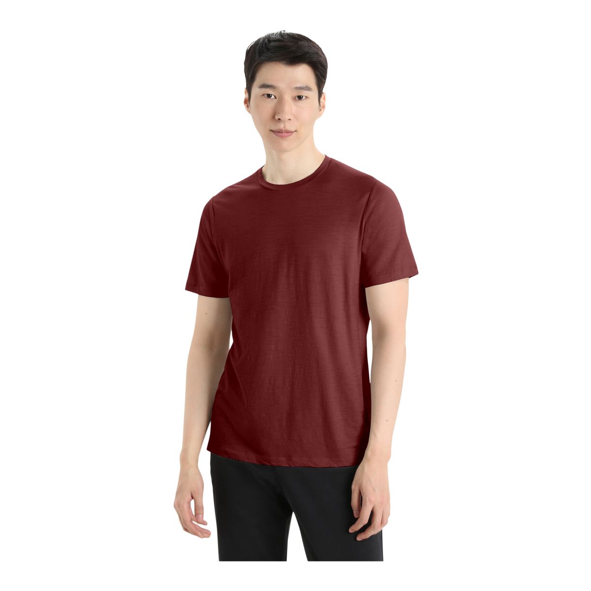 Icebreaker Men's Tech Lite II T Shirt